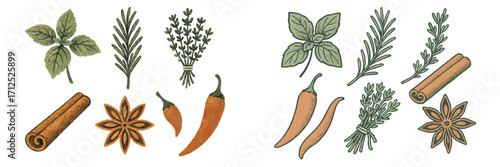 Various fresh culinary herbs and aromatic spices such as basil, rosemary, thyme, cinnamon, star anise, and chili peppers