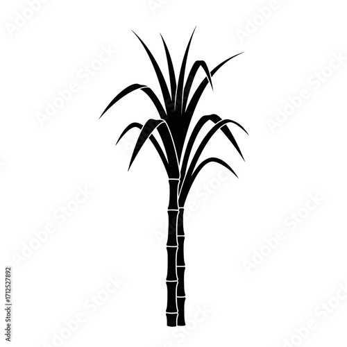Black silhouette of a sugarcane plant isolated on white background
