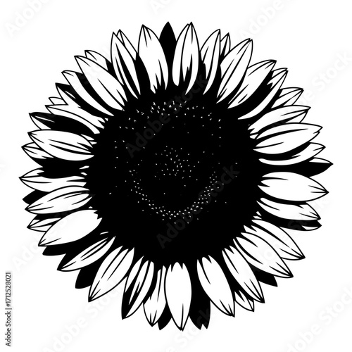 Black sunflower silhouette isolated on white background