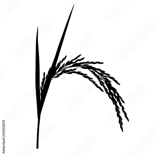 Black silhouette of a rice stalk isolated on white background
