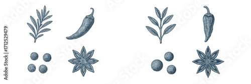 Assortment of hand-drawn botanical herbs and spices including rosemary, chili, sage, peppercorns, and star anise in vintage engraved style