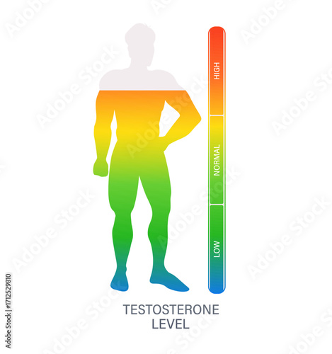 Measuring testosterone level in male body using gradient scale from low to high