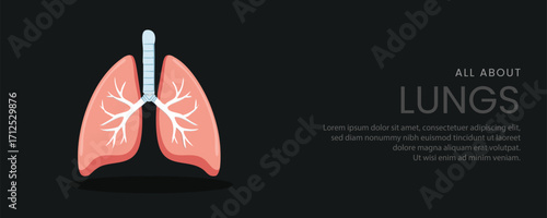 A set of clean and simple educational banners featuring an anatomical illustration of the human lungs. Modern flat design for medical presentations, websites or health articles.