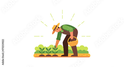 Farmer Inspecting Seedlings With Basket In Bright Sunlight, Vector Illustration