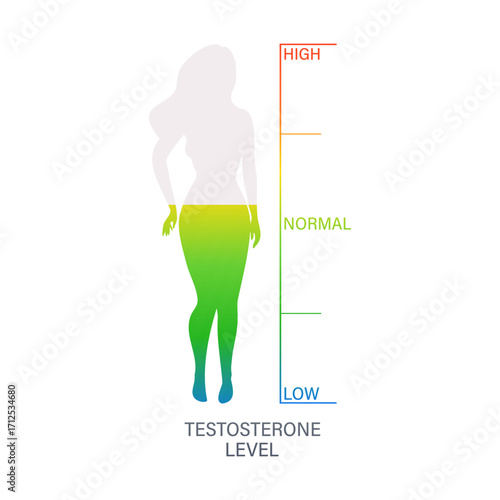 Female silhouette showing testosterone level with gradient from low to high