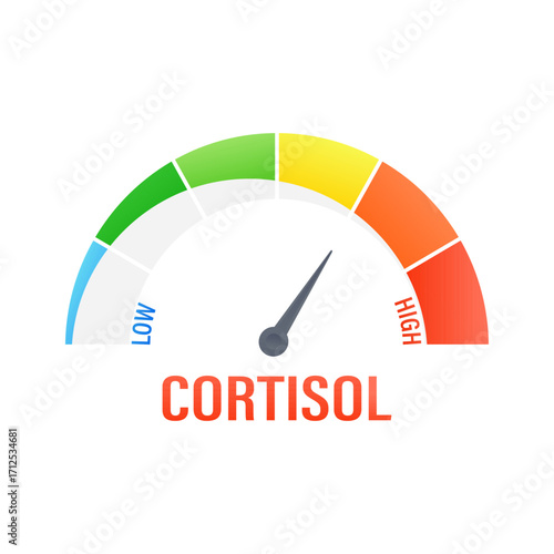 Cortisol stress hormone level measuring indicator with colorful speedometer