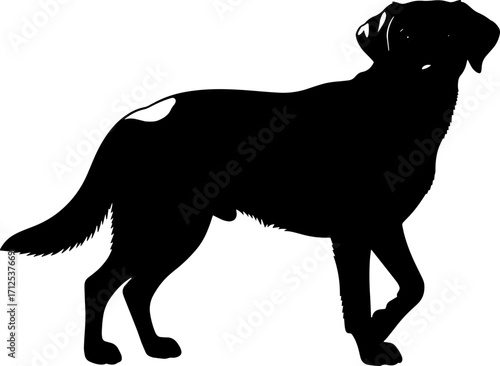 Animal icon  wild pet and birds icon logo design black icons