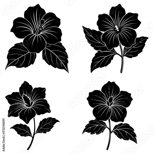 Four hibiscus flower illustrations in black and white with detailed petals and leaf arrangements shown clearly