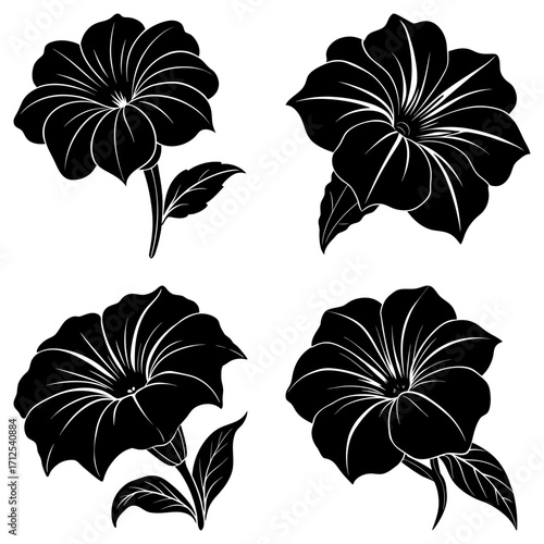 Illustration of four black and white petunia flowers with stems and leaves in different orientations