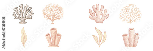 Diverse collection of marine life elements featuring various corals, sea sponges, and aquatic plants for underwater themes