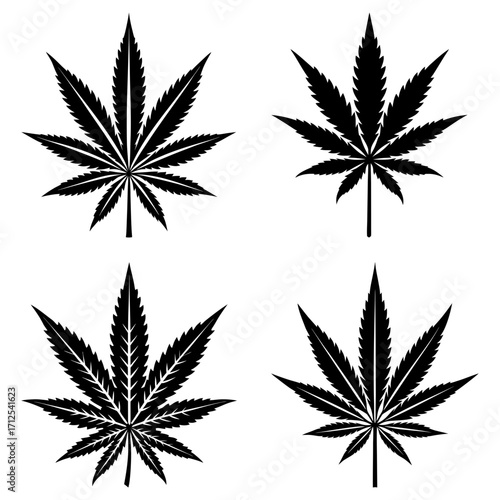 Four black cannabis sativa leaves with detailed serrated edges arranged on a white background in a square format