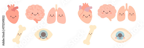 Cute anatomical elements with happy faces including heart brain lungs bone and eye for health concepts