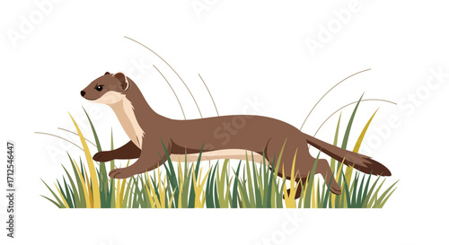 Digitally Crafted Image Of Running Stoat In Tall Grass Against The White Background