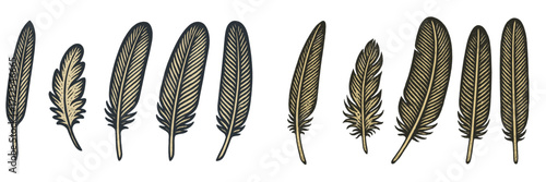 Various feather designs showing different shapes and sizes ideal for art and crafting projects