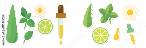 Natural herbal ingredients and extraction tools for healthy remedies displayed on a light background