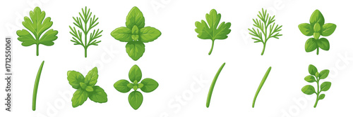 Various types of green herbs including mint, basil, and parsley arranged in a neat pattern on a light background