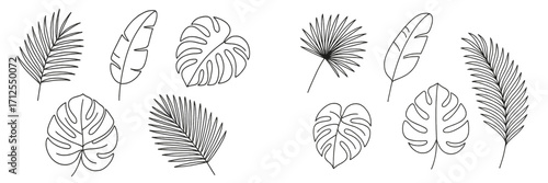 Detailed outline of various tropical leaves arranged in a symmetrical pattern for design or artistic inspiration