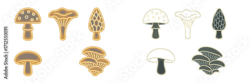 Colorful mushrooms in various shapes on a bright, simple background during a creative design session
