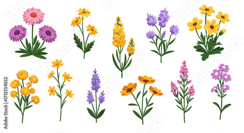 Vibrant floral collection of spring and summer garden blooms