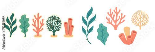 Colorful coral and seaweed illustrations in a vibrant underwater design showcase marine life