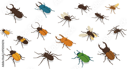 Diverse collection of insects in isometric style featuring beetles and bugs