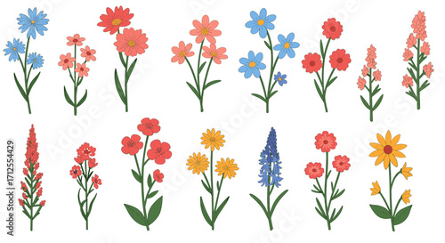 Colorful floral collection with various wildflowers in flat design
