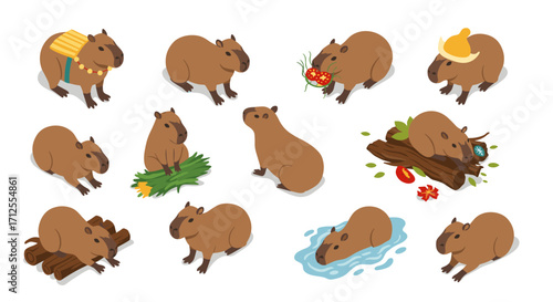 Capybara isometric set: adorable cartoon animals in various activities and outfits