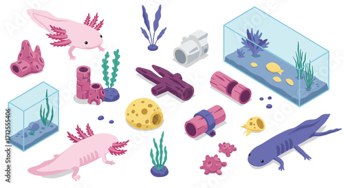 Isometric axolotl aquarium set with plants and decorations in pastel colors