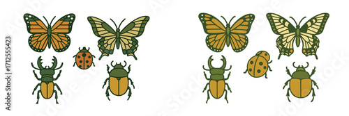 Colorful illustrations of insects showcasing butterflies, ladybugs, and beetles in a natural setting