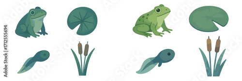 Frogs, lily pads, and tadpoles in a calm pond setting during a sunny day in spring
