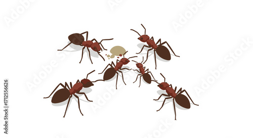 Ants gathering around food in flat design on white background