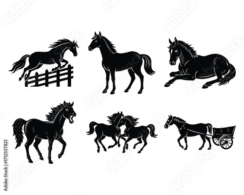 Vector of Horse silhouette Collection of horses silhouettes set on white background