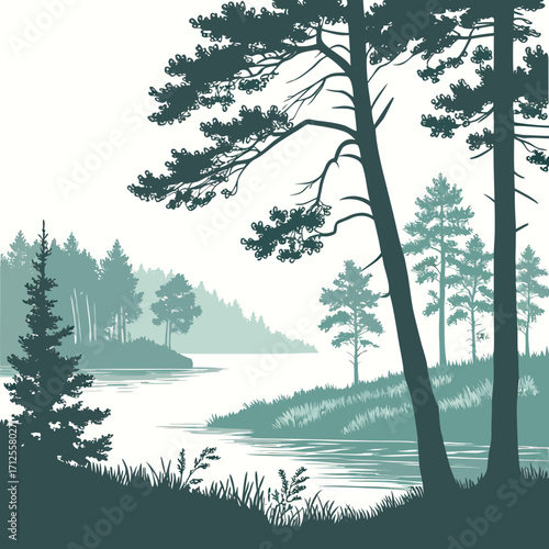 trees in the forest