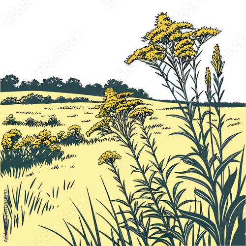 Vector art of a vibrant field scene, showcasing goldenrod flowers and a distant treeline, rendered in a charming, vintageinspired illustration style