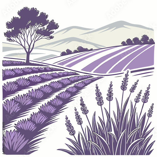 Vector art of enchanting lavender field illustration showcasing neat rows of fragrant purple flowers, rolling hills, and a graceful tree, capturing the essence of rural charm