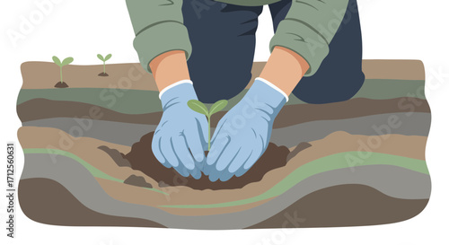 Hands Carefully Cultivating Seedling In The Fresh Earth Preparing The Garden