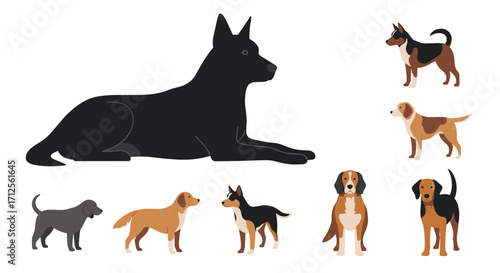 A collection of various dog breeds shown in silhouette and illustration.