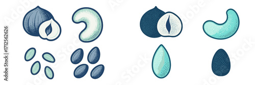 Different varieties of nuts and seeds arranged clearly on a simple background showcasing their unique shapes and colors