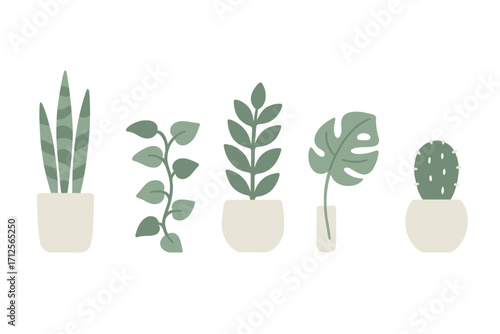 Collection of indoor plants in decorative pots arranged in a minimalist style, enhancing home decor