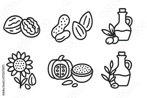 Set of linear healthy food icons featuring walnuts, peanuts, almonds, sunflower seeds, pumpkin seeds, and olive oil, vector cartoon illustration with transparent background, ordered set