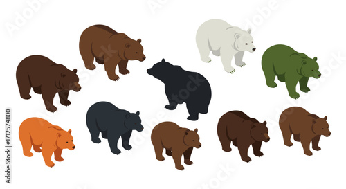 Isometric forest bear variations in multiple colors