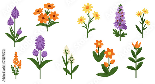 Colorful flat floral set featuring diverse flower types and arrangements