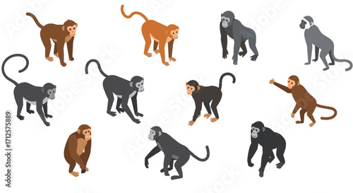 Isometric monkeys: diverse primate collection in vibrant colors