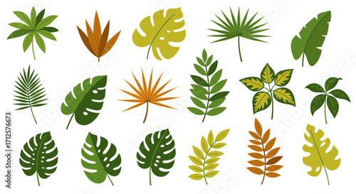 Colorful tropical leaf set for botanical design and decoration projects