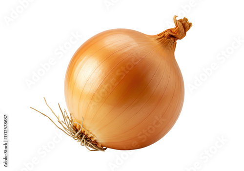 Wallpaper Mural Isolated Yellow Onion with Dried Skin, Root Strands, and Stem in Natural Light; Ingredient Torontodigital.ca