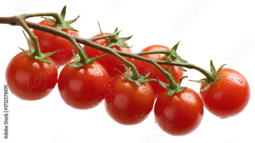 Wallpaper Mural Cluster of ripe red roma tomatoes on a vine isolated on transparent background Torontodigital.ca