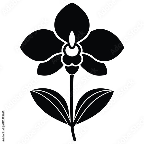 orchid stem vector icon