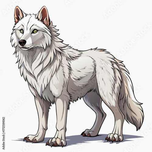 white Wolf real,full body ,white background