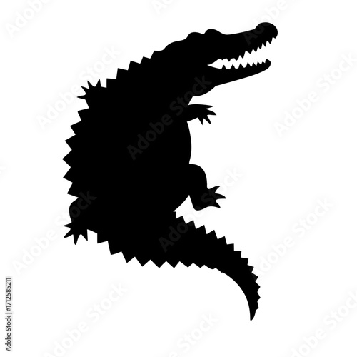 crocodile on black background