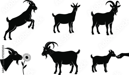 Goat silhouette vector set, farm animal poses, black goat illustration, feeding and standing goats, livestock behavior, rearing goat clipart,
